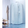 Paroi de douche Alterna Domino 1/4 cercle fixe + pivot 90 x 90 cm