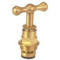 Tête de robinet à potence brute 22x150 184-1I