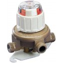Inverseur automatique butane 2,6kg/h réf B124853