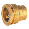 Raccord droit Deca femelle 21-15x21 Fer 860421