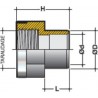 Réduction mixte taraudée renforcée femelle à coller diamètre 40mm 33x42 RTR40