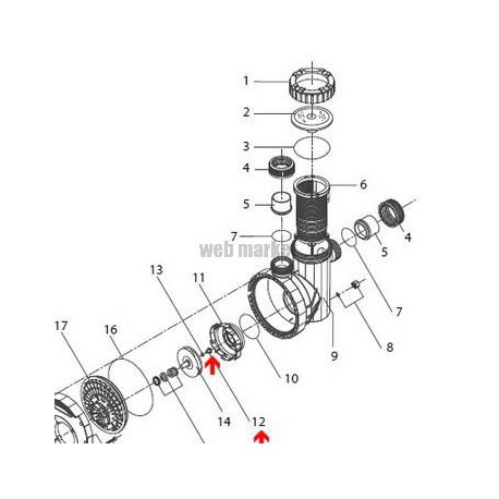 Vis de turbine de pompe Eurostar (10x12mm)