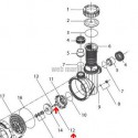 Vis de turbine de pompe Eurostar (10x12mm)
