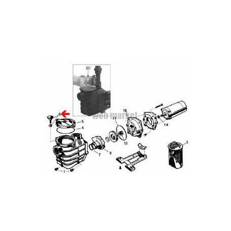 Rotule filetée + vis de préfiltre pompe Hayward ( Dispo épuisement Stock )
