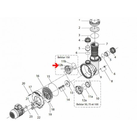 Diffuseur de pompe Belstar 150