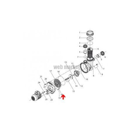 Vis de moteur de pompe Eurostar (8x25mm)