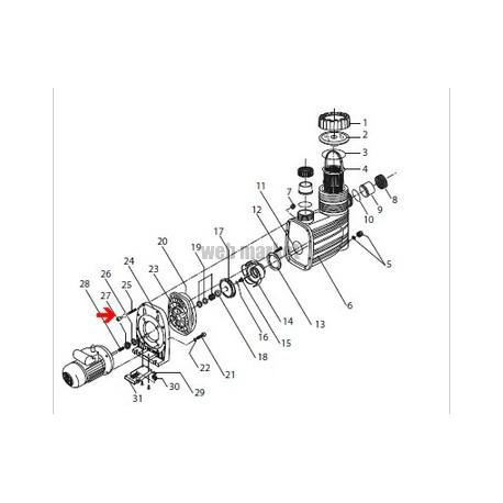 Joint en "V" Eurostar 250T-300-Badu 21/80 (Ø20mm)