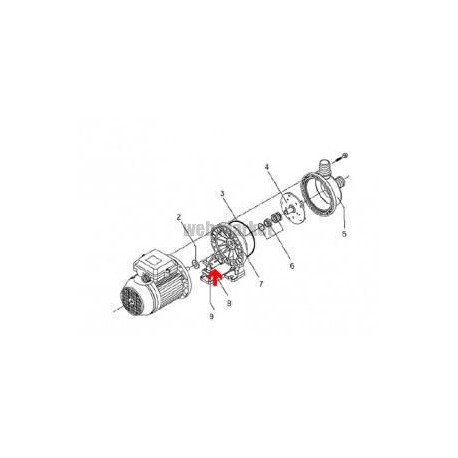 Amortisseur de moteur de pompe Eurostar 10x10x27mm