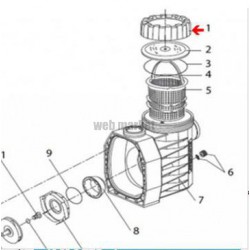 Ecrou de couvercle de pompe Eurostar II, HF