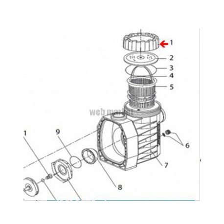 Ecrou de couvercle de pompe Eurostar II, HF