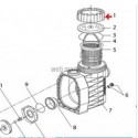 Ecrou de couvercle de pompe Eurostar II, HF