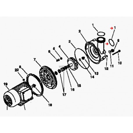 Joint torique de raccord pompe Bellow-Jet (67x4mm)