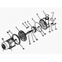 Joint torique de raccord pompe Bellow-Jet (67x4mm)