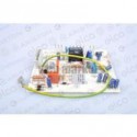 Circuit ionisation CF-VMC-FF Sur NIAGARA 23 CF-FF-VMC - 28 CF-FF Réf. 60084517