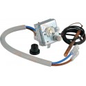 Thermostat sécurité réf R100506 Réf. 4048998