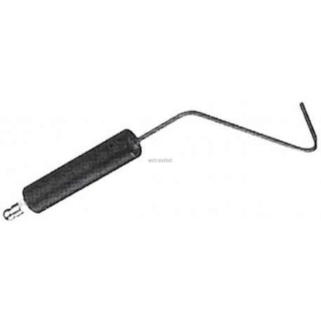 Sonde de ionisation Réf. 13016581