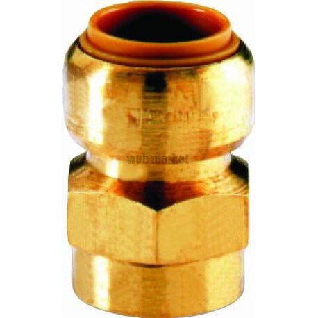 Manchon T270G instantané tectite femelle-femelle D12-12x17 pour tube cuivre PER et PB réf 4751736