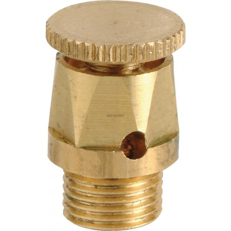 Purgeur d air 3070BP à volant à visser pour radiateur D05x10 réf 467101