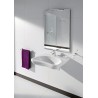 Lavabo ACCESS 64x55cm avec fixations blanc réf. A327230000