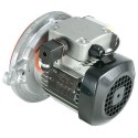 Moteur, LS63, 180W Réf. 60078