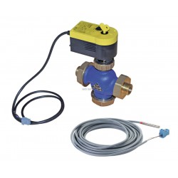 Vanne d inversion chauffage sanitaire + sonde ECS 100015479 colis EH145