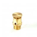 Purgeur d air 3070AP à carré à visser pour radiateur D08x13 réf 467002