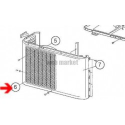GRILLE DE PROTECTION AVANT