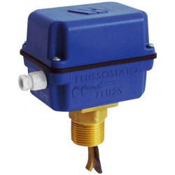 Contrôleur de débit FLUSSOSTAT FLU 25PL Réf 22L0401225