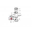 Collier de serrage chlorinateur Hayward CL110-220