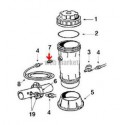 Raccord + clapet de chlorinateur Hayward CL110-220