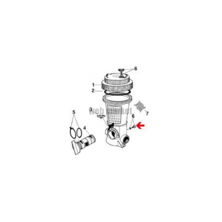 Vis de purge/vidange de brominateur Saniking 940