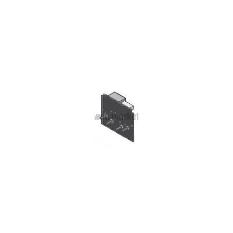 Carte électronique pour Pompe Redox 220 ( Frais/Délai supp à prévoir )