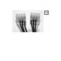 Câble interconnection générateur de vapeur MS/CT ( Frais/Délai supp à prévoir )