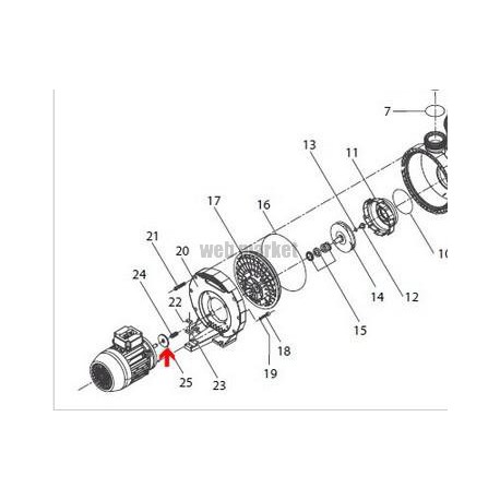 Bague axe moteur Eurostar 200-250M-400T(50x24x4mm)