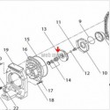 Turbine de pompe Eurostar 150M-150T 60hz-07