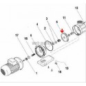 Turbine de pompe Speck FA 42/11 (3/4cv) ( Dispo épuisement Stock )