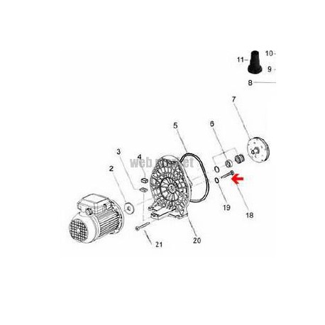 Vis plastique de flasque de pompe Magic (6x35mm)