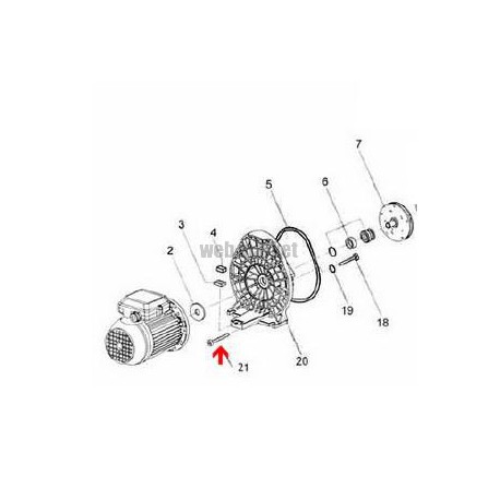 Vis de flasque de pompe Magic (7x48.4mm)