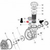 Collet raccord aspi/refoulement pompe Magic (50mm)