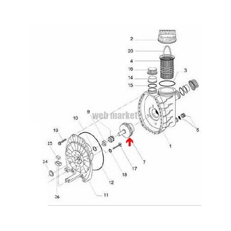 Turbine de pompe Magic 11 (0,9cv) 50Hz