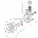 Turbine de pompe Magic 11 (0,9cv) 50Hz