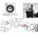 Vis inox de turbine de pompe triphasé Starite P2R