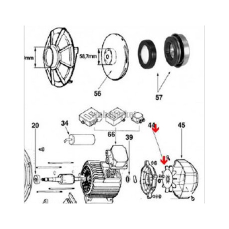 Ventilateur de moteur de pompe Tifon 1 ( Dispo épuisement Stock )