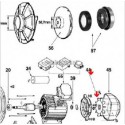Ventilateur de moteur de pompe Tifon 1 ( Dispo épuisement Stock )