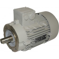 MOTEUR TRI