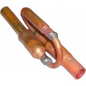 CAPILLAIRE AUY30TATA/TLAMA
