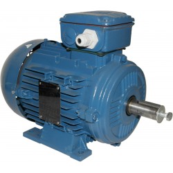 MOTEUR TRI