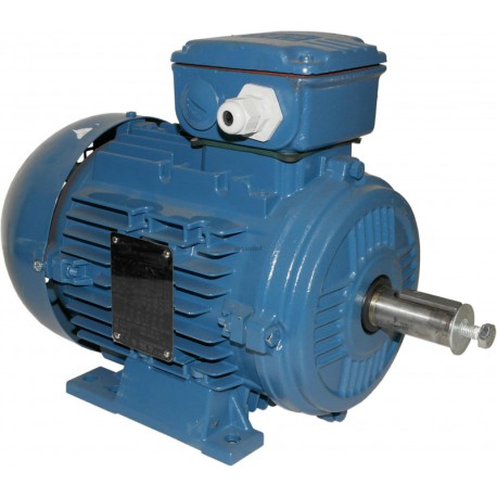 MOTEUR TRI