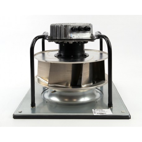 MOTEUR RT 62
