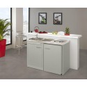 Meuble bas cuisinette CLIPMETAL COLOR 120 cm, Coloris Soie
